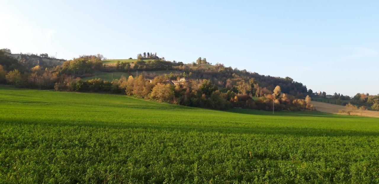 Agriturismo Ca' Bertu' Guest House Zappolino Екстериор снимка